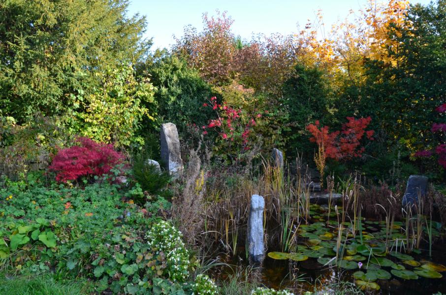 Garten mit Steinsetzung